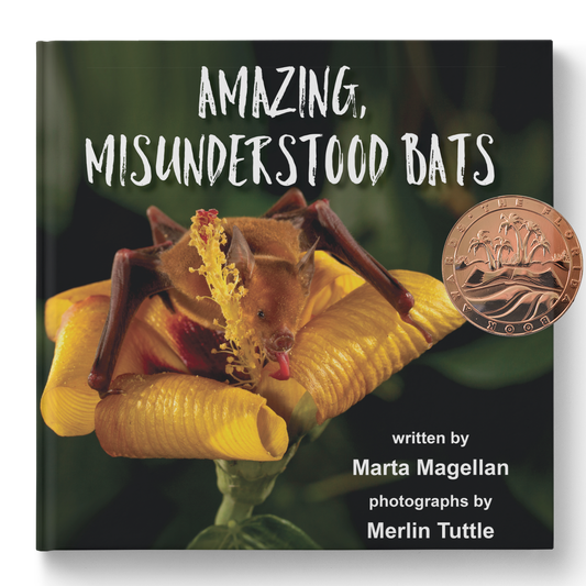 Amazing, Misunderstood Bats