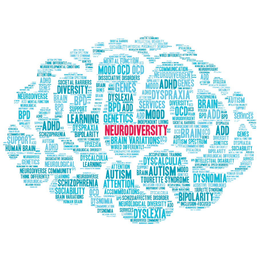 Neurodiversity Bundle (14 books)
