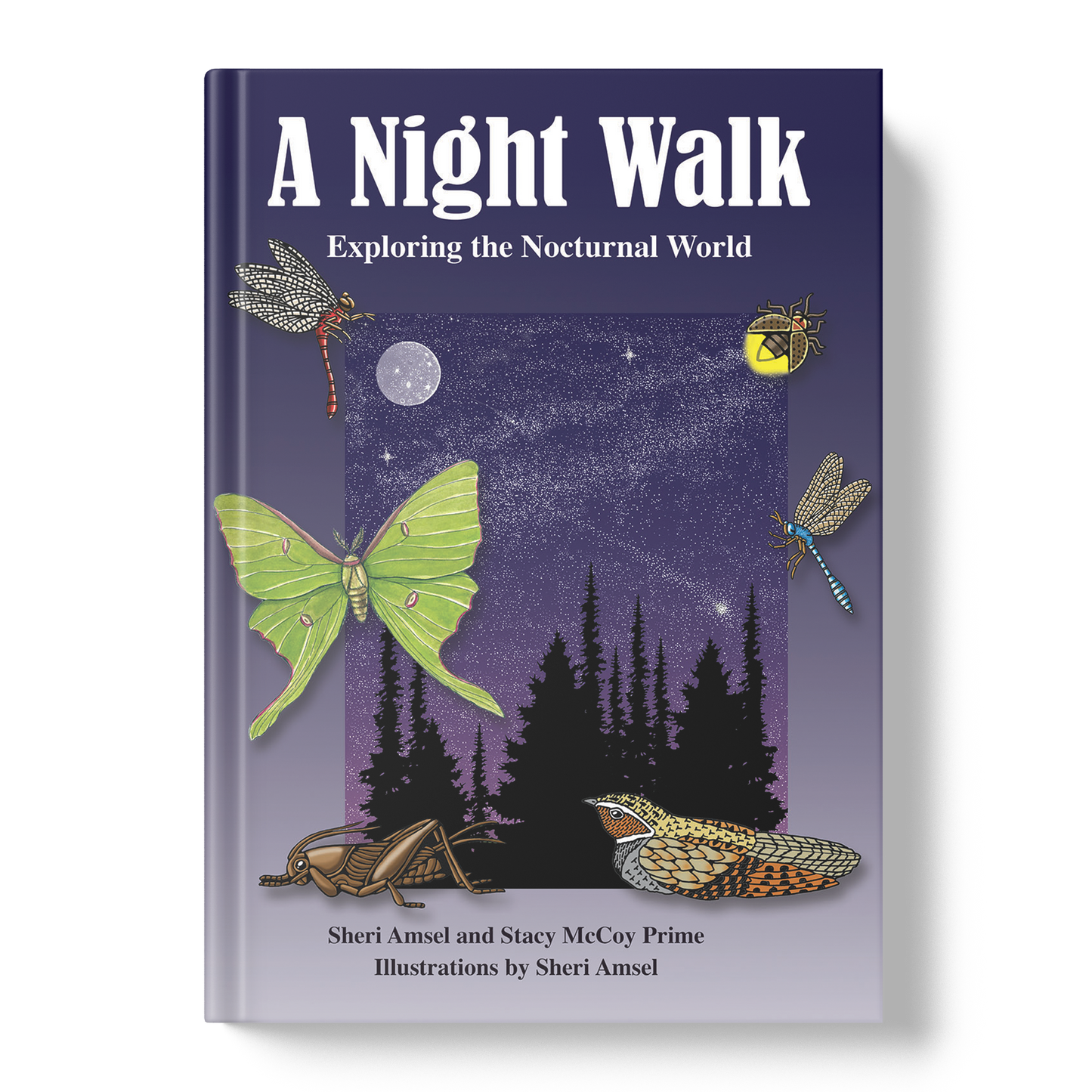 A Night Walk: Exploring the Nocturnal World
